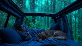 🌧️ Cozy Camper Bed in Gentle Forest Rain 🐶 ASMR Sounds for Deep Sleep & Relaxation