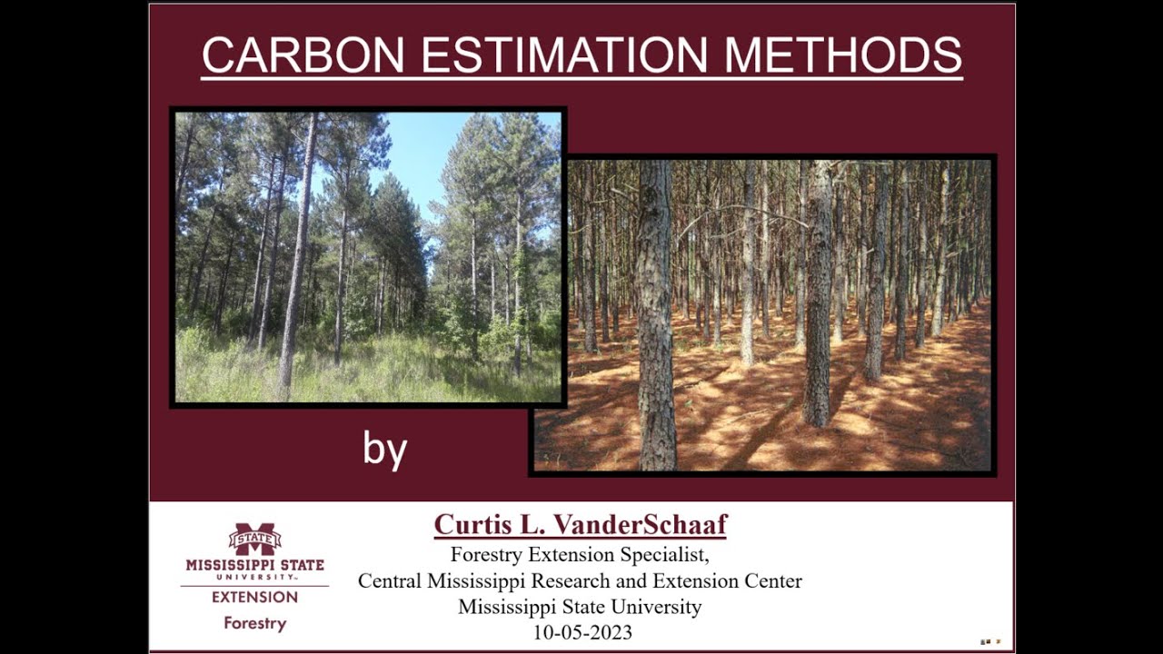 Forest Carbon Estimation Methods