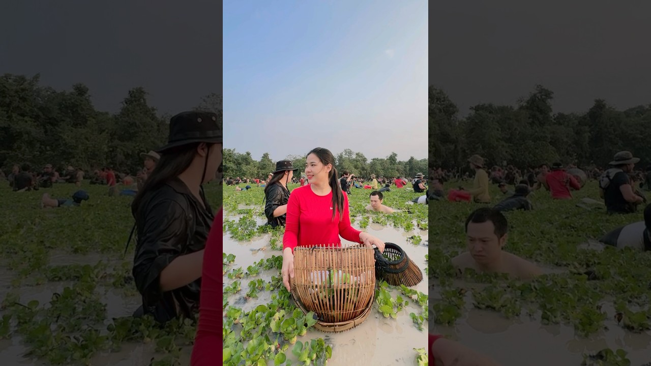 សកម្មភាព​ បុណ្យចាប់ត្រីសាមគ្គី​ ដែលស្ងិតនៅសហគមន៍ភូមិបង្កោង​ ខេត្តសៀមរាប