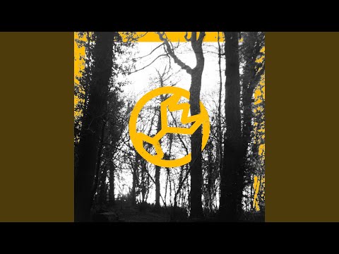 Great Heights - Bears In Trees
