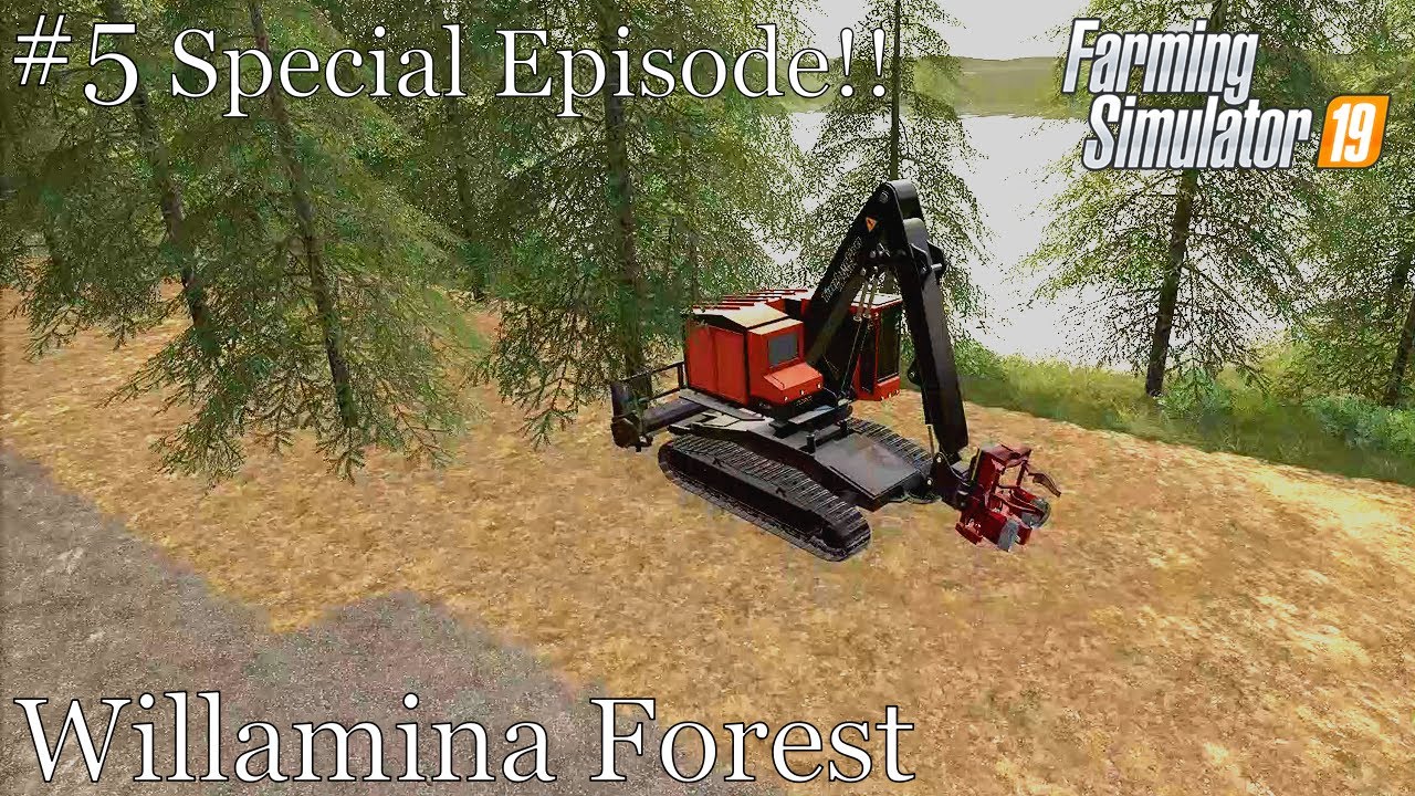 Willamina Forest 5Getting Back to Where We WereSpecial Episode