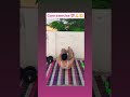 core exercise #calisthenics #motivation #stunt #yoga #gymnastics#wrestling #fitnessmotivation