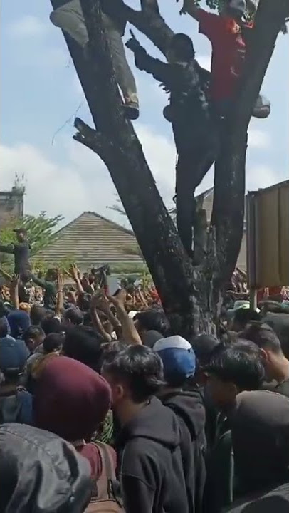 satru 2 live acara halal bihalal cb is wonderful tulungagung #shorts #cbindonesia #tulungagung