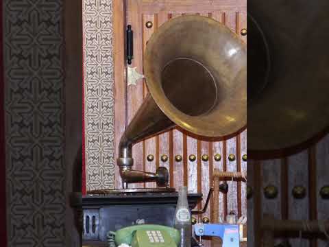 محمد التناك صوت شامي قلب المعنى