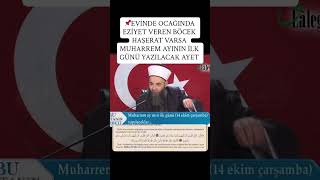 Evde ocakta böcek haşerat için yazılan tertip 🌹