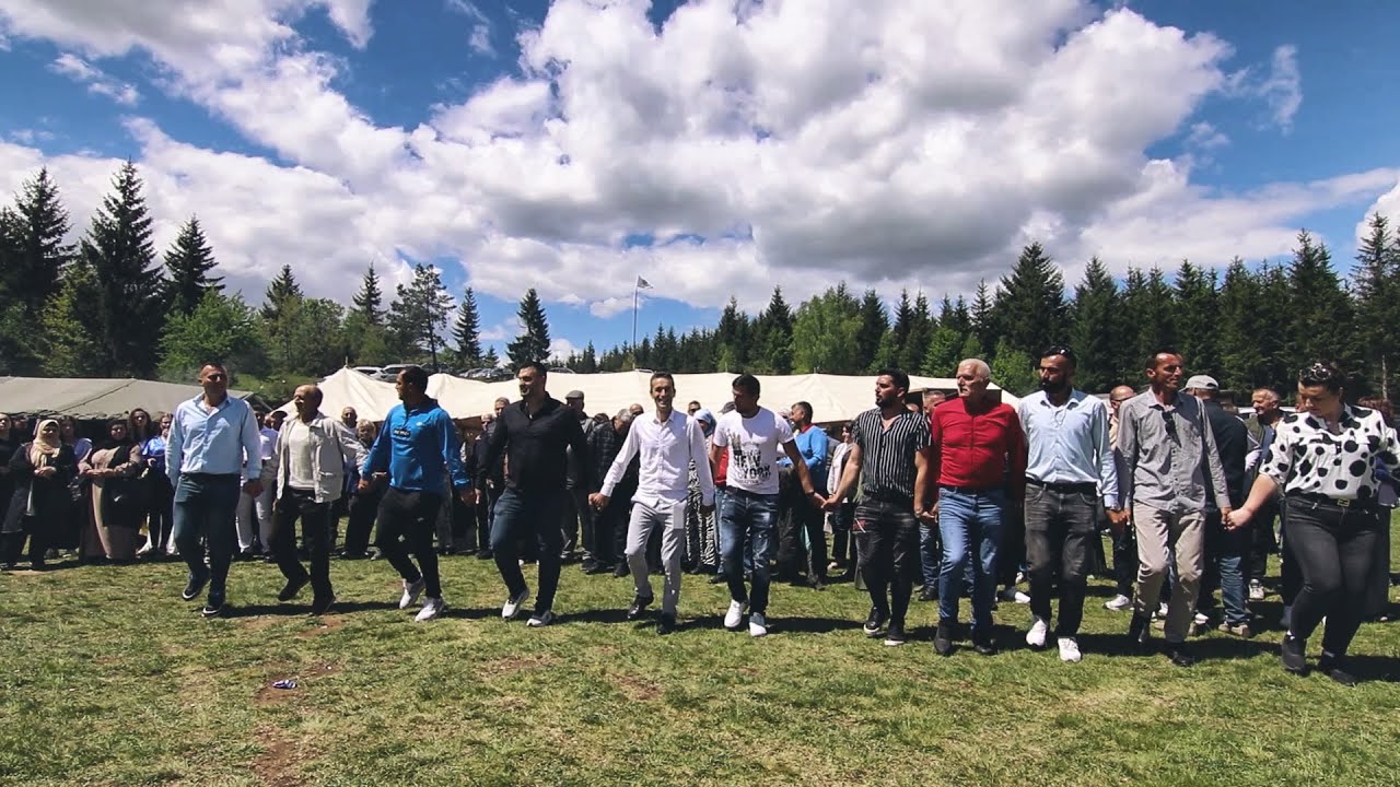 VASAR DOLOVO POLICA 2025!!! RIJETKO KOLO