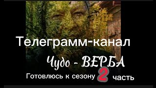 🌿 Чудо-Верба 🌿