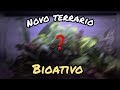 montando terrario bioativo para anfíbios do zero, antes e depois