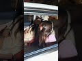 Jannat Zubair Shura khan spotted Bandra west #youtubeshorts #yt #youtube #ytshorts