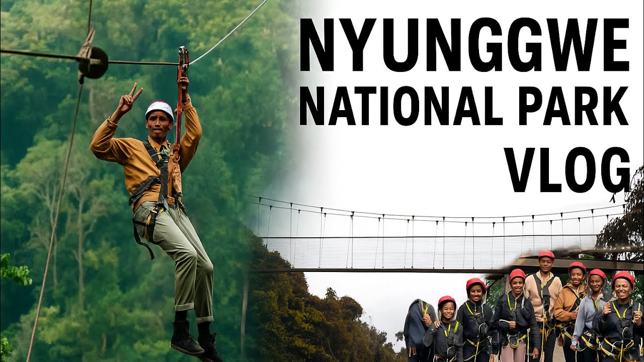 Exploring Nyungwe National Park | Ziplining &Nature .