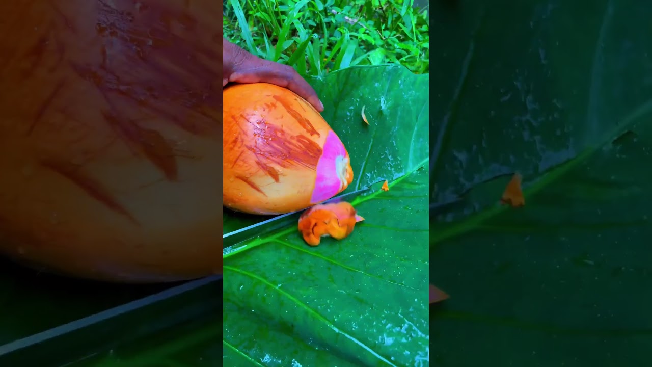 Rare king coconut and aloe vera drink 🌴🍃 