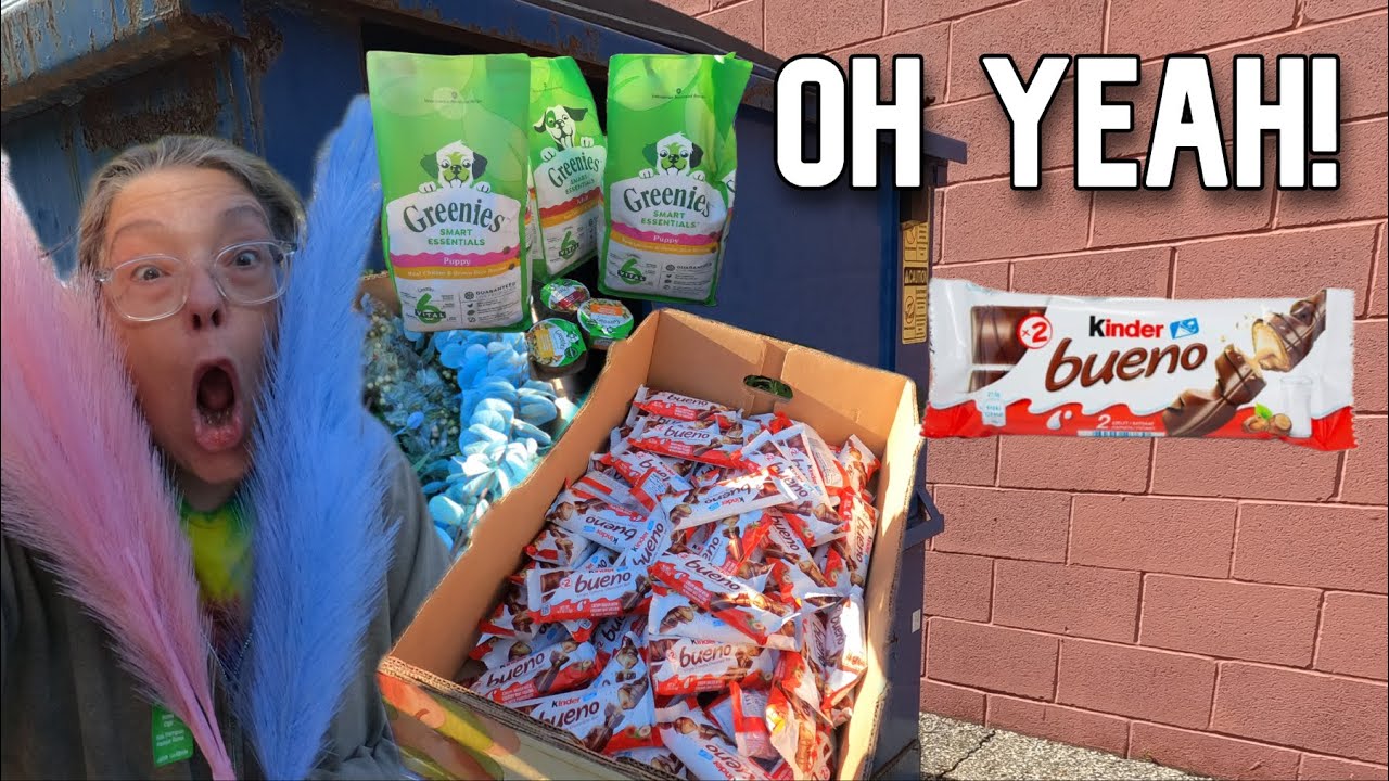 Поиски в мусорном контейнере: коробка шоколадных конфет Bueno, сухой корм для собак, искусственны...