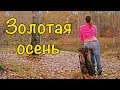 Разбил ДРОН. Последний тёплый день. Золотая осень. Гуляем, кайфуем, жарим шашлык.