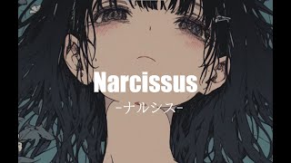Narcissus