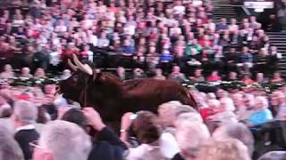 Full Andre Rieu - Espana Cani (Bull chasing lady in red) Birmingham 2014 Guide