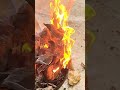 #puertorico #fire #wood #burning