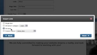 Blue Training - The Link Wizard