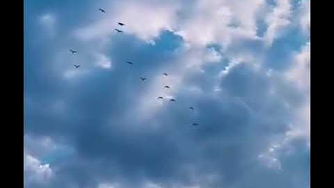 وفي السماء رزقكم وماتوعدون ❤💕🌷تلاوة إسلام صبحي💙تلاوة خاشعة Qur'an