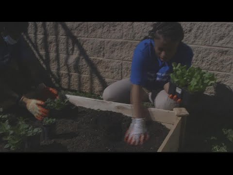 Hank Aaron New Beginnings Academy gets fresh look