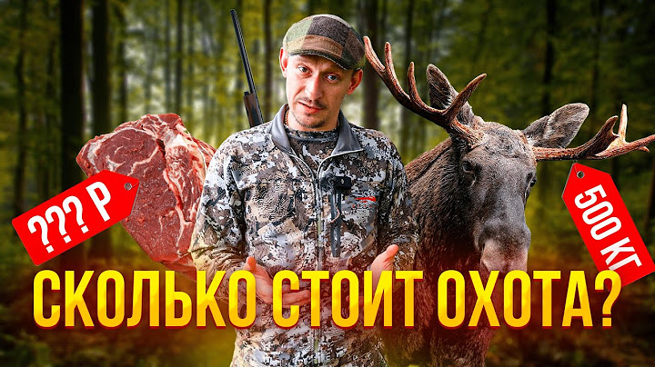 Сколько стоит стать ОХОТНИКОМ? 💥 Выгодно ли добывать мясо на охоте? Считаем ЗАТРАТЫ на ОХОТУ!
