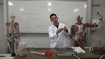 O que faz com que haja rigidez?