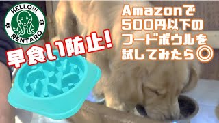 【わんちゃん早食い対策！】 Amazonで500円以下のフードボウルを買ったら◎！| Slow Feeder Dog Bowl
