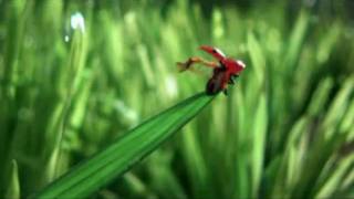 Slowmotion 1
