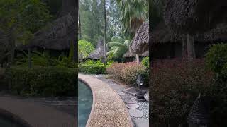 'Bamboo & Mud: Crafting an Eco-Haven - Building a Sustainable Bamboo Roofed Mud House 🌿🏡'
