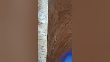 صلاة المغرب بمصر؛ القارئ همام عادل شاهين