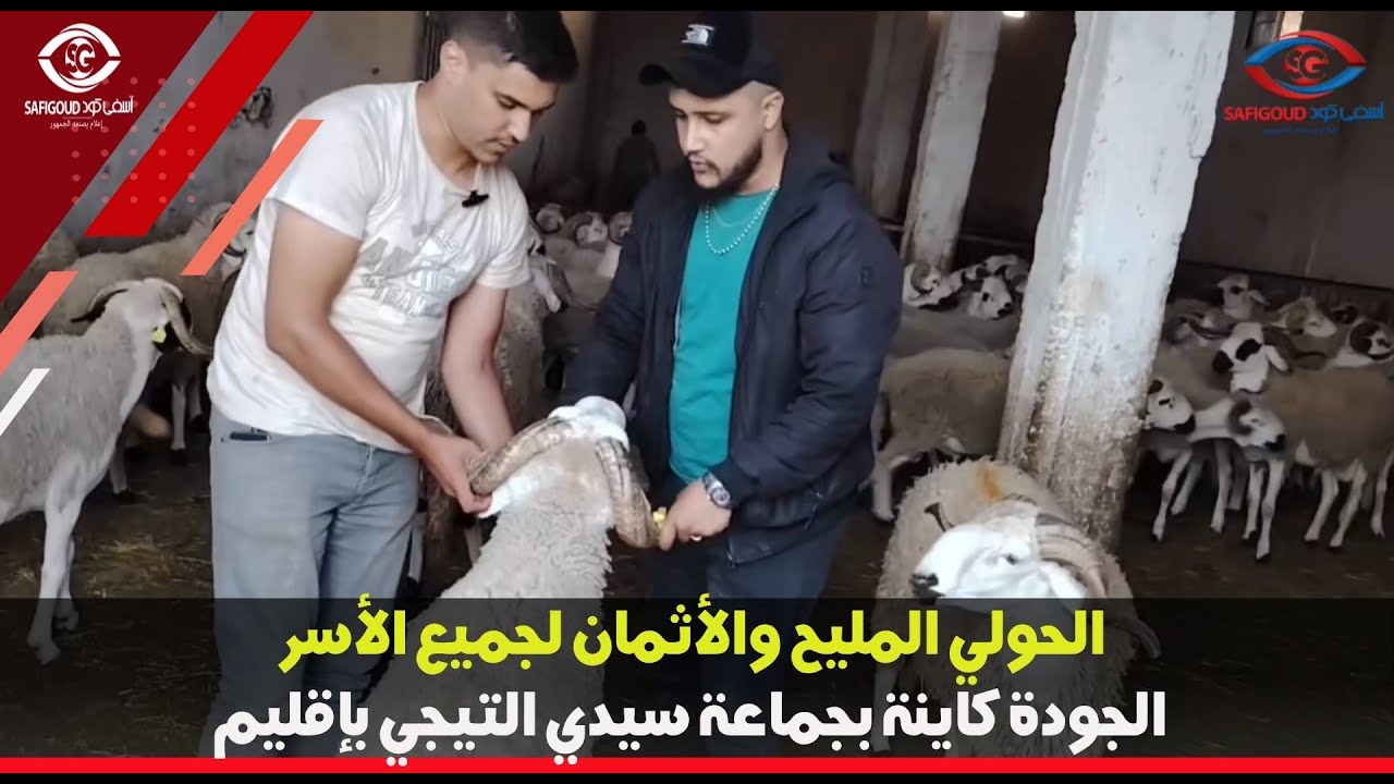 الحولي المليح والأثمان لجميع الأسر.. الجودة كاينة بجماعة سيدي التيجي بإقليم آسفي0664144044