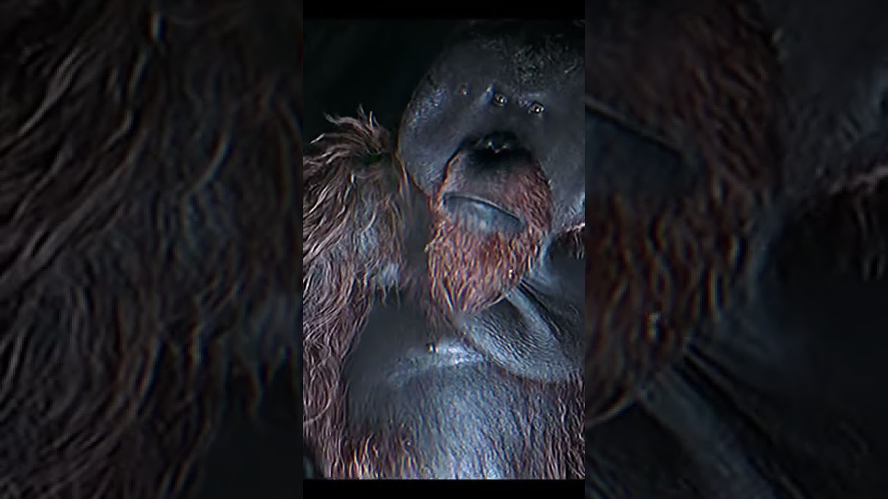 Maurice ain't messin🦧