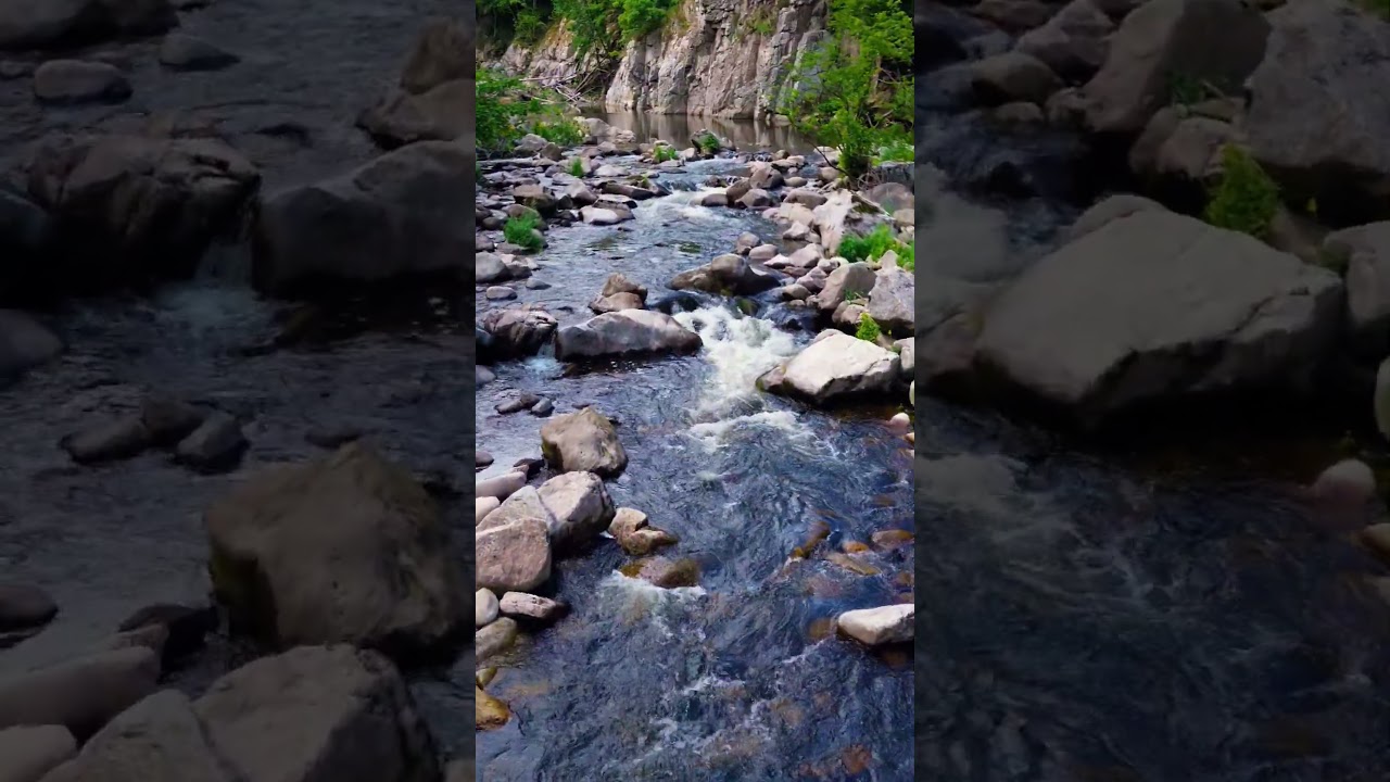 Laissez-vous porter !