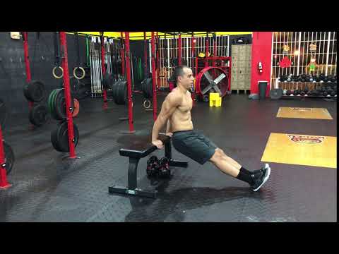 Bench Dips 
