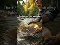 The Art of Gold Panning