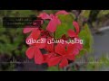 أنشودة راائعة أنا فيض من الأخلاق أنشودة راائعة أنا فيض من الأخلاق