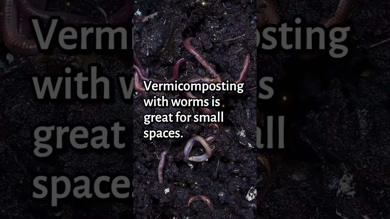 Organic Compost Magic: Elevate Your Garden with Proven Tips