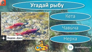 Тест Рыбы России и Евразии. Онлайн игра-викторина 'Угадай рыбу!' | Дом тестов и викторин