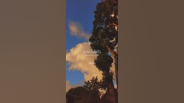سورة الشعراء | [الاية-123-135] | القارئ ياسر الدوسري | #قرآن #اكتب_شي_توجر_عليه