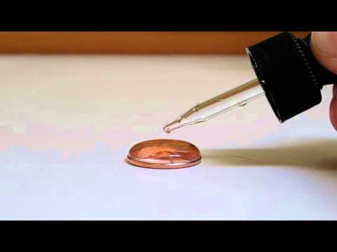 the effects of surface tension on a penny the effects of surface tension on a penny
