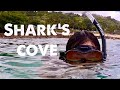 Snorkeling at Shark's Cove on the North Shore