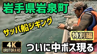 Light Jigging on a Sappa Boat Special Edition #126 - YouTube
