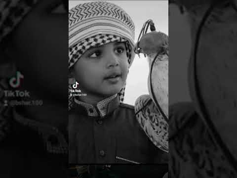 المشرفي محترق بنه