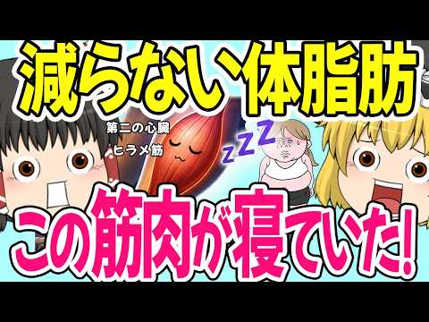 【50代ダイエット】体脂肪が落ちない原因は「第二の心臓」が眠っていたからだった【ゆっくり解説】