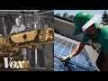 Why there are twice as many solar jobs as coal jobs