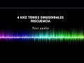 Tono Puro 4 kHz  | Prueba de Sonido y Calibración de Audio 🎧 | Pure 4 kHz Sine Wave | 纯正4kHz正弦波测试音