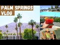We Need A Vacation! | Palm Springs Vlog