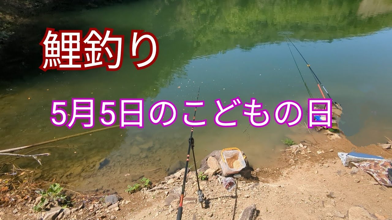 鯉釣り#carpfishing#カープフィッシング】5月の連休は夫婦で鯉釣り