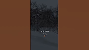 #اجر #قران #قرآن #قران_كريم #قرآن_كريم #تلاوة #تلاوة_خاشعة #ارح_قلبك #ارح_سمعك #اجر_لي_ولكم