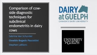 Comparison of cow-side diagnostic techniques to assess subclinical endometritis in dairy cows Update