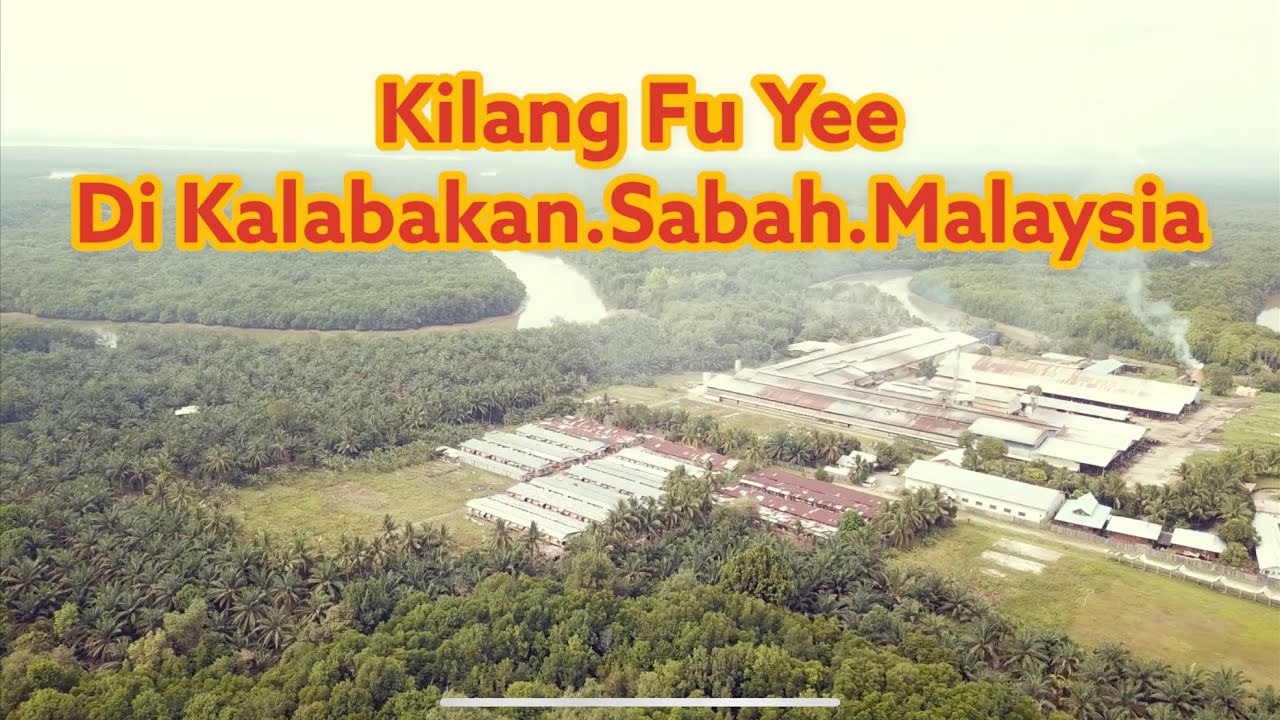 Kilang Fu Yee di Berantian Tawau Malaysia